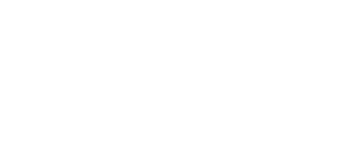 TheVixen - logo
